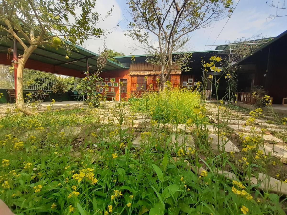 Homestay Lan Rung Nghia Lo Exterior photo