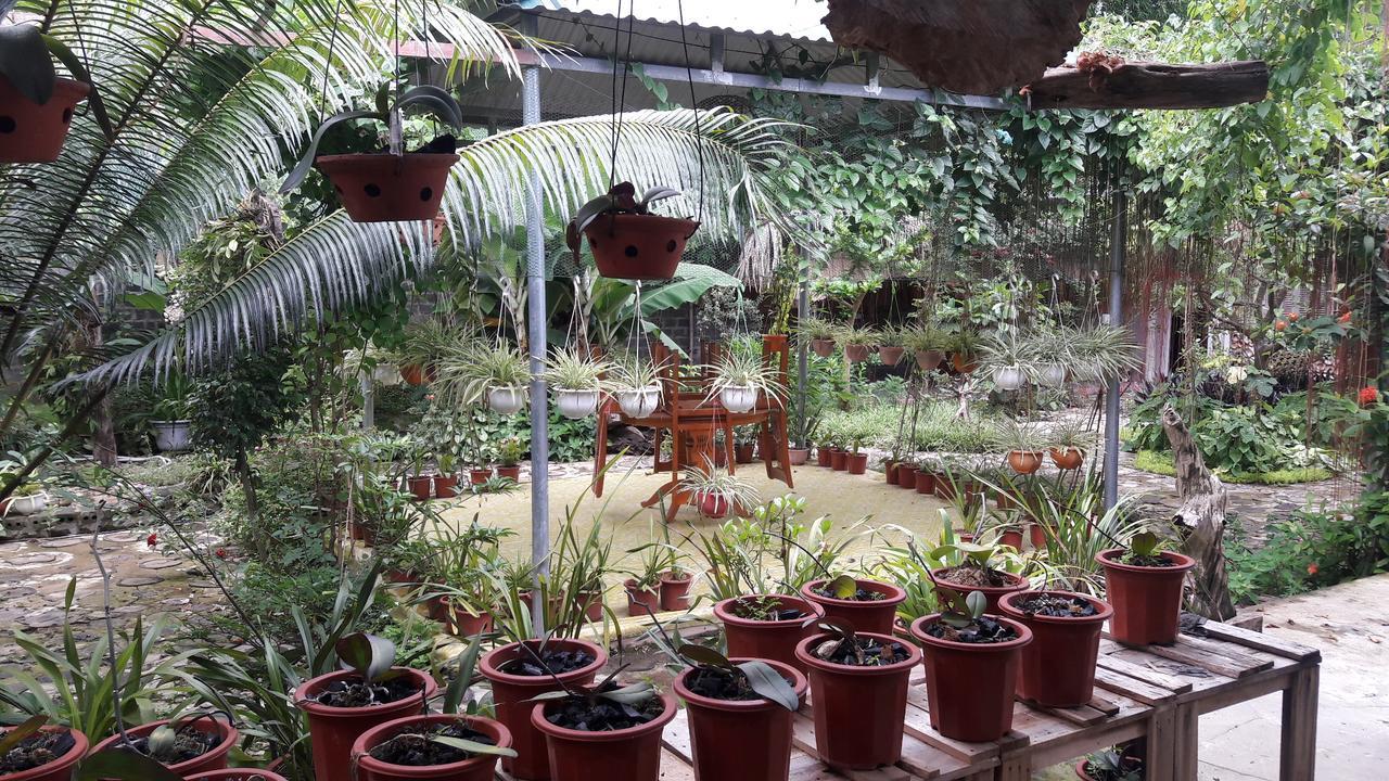 Homestay Lan Rung Nghia Lo Exterior photo